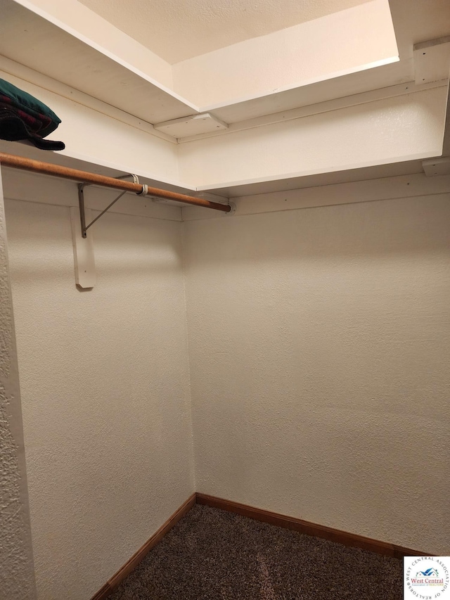 810 E Cedar St, Clinton, MO 64735 - walk in closet with carpet floors