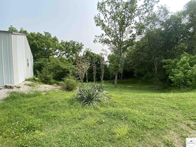 715 Ww Hwy, Osceola, MO 64776 - view of green lawn