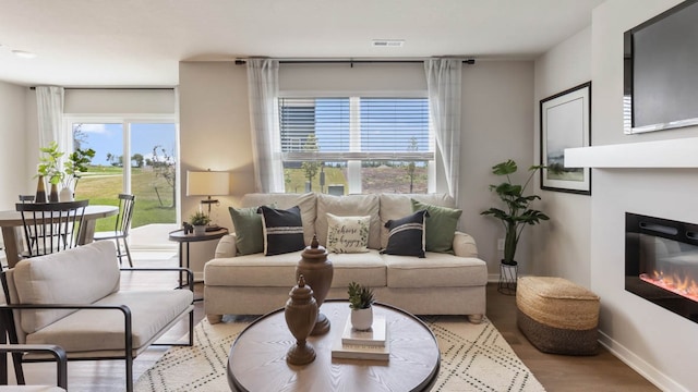 living room featuring light hardwood / wood-style floors