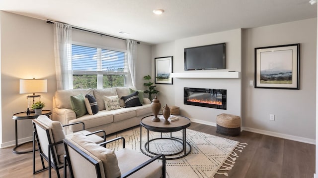 living room with wood-type flooring