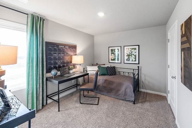 bedroom featuring carpet floors and multiple windows