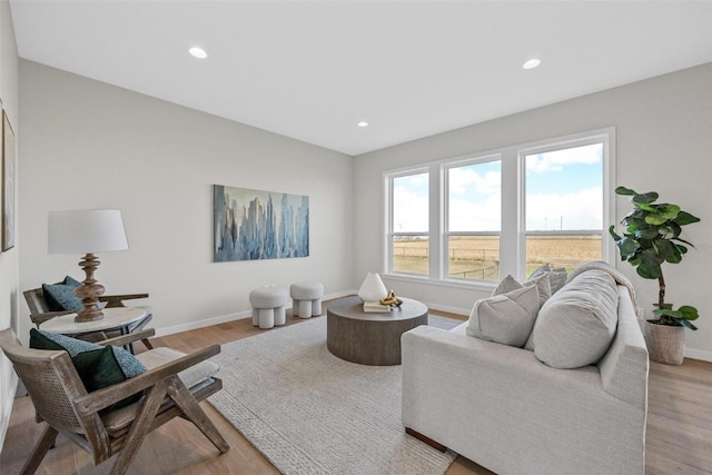 living room featuring light hardwood / wood-style floors