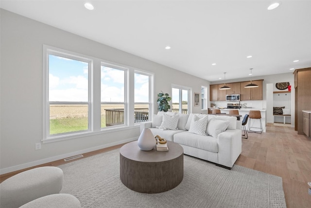 living room with light hardwood / wood-style flooring