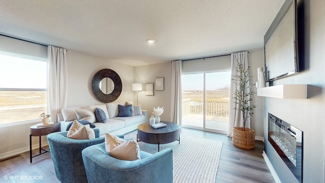 living room with a textured ceiling and hardwood / wood-style floors