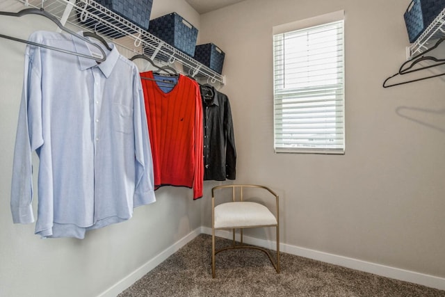 spacious closet featuring carpet flooring