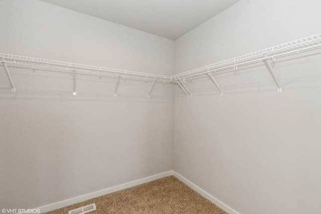 walk in closet featuring visible vents and carpet