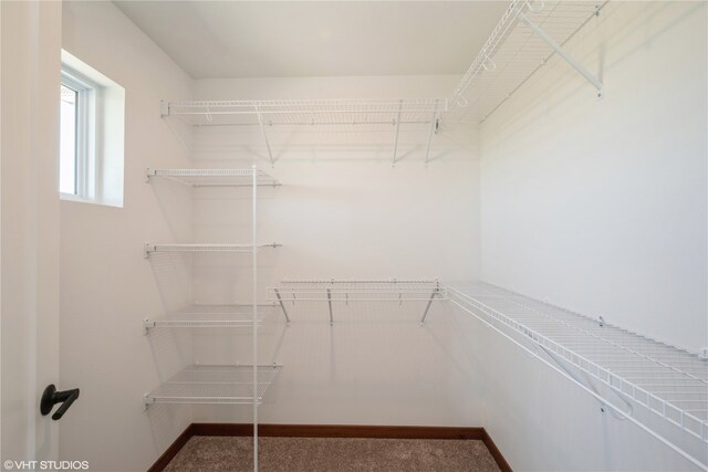 spacious closet with carpet flooring