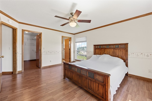 bedroom featuring a closet, ceiling fan, crown molding, a walk in closet, and wood-type flooring