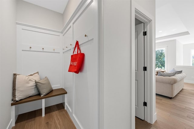 mudroom featuring a raised ceiling and light wood-type flooring