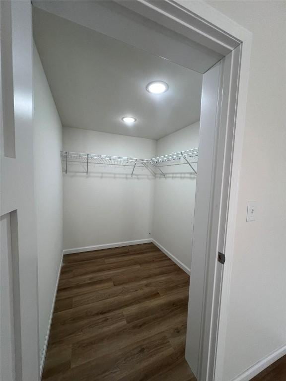 spacious closet featuring wood finished floors