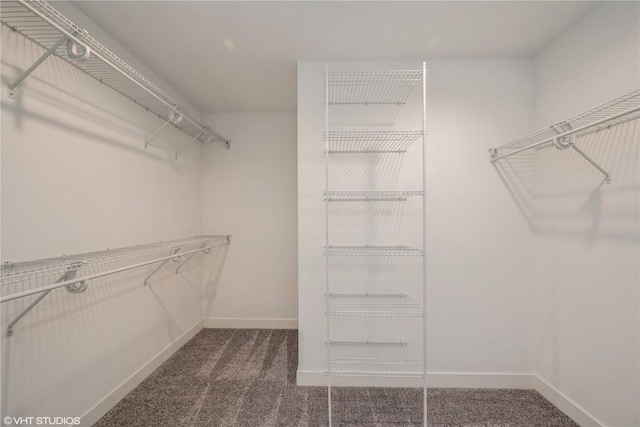 spacious closet with carpet