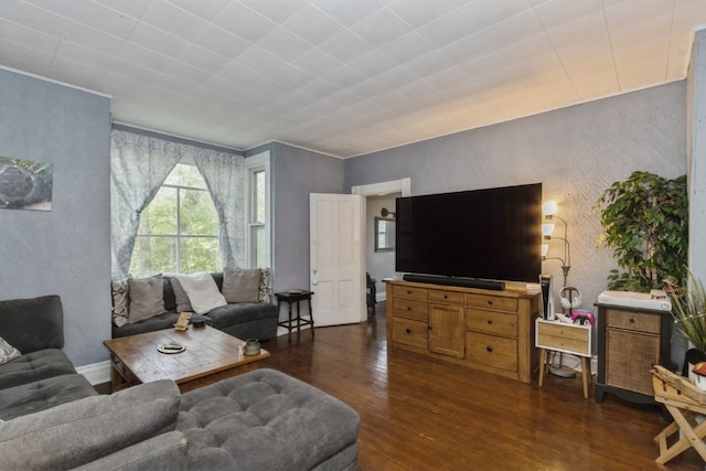 living room featuring dark wood-type flooring