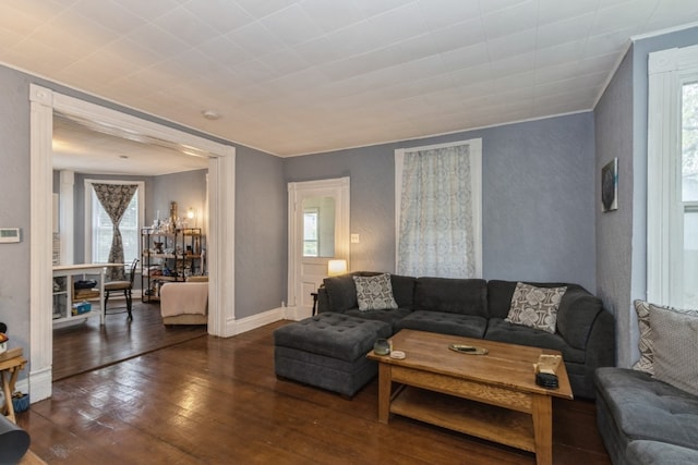 living room with ornamental molding, plenty of natural light, and dark hardwood / wood-style floors