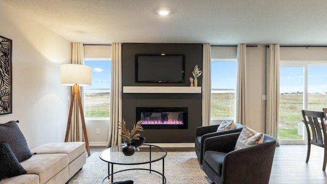 living area with a glass covered fireplace, plenty of natural light, baseboards, and wood finished floors