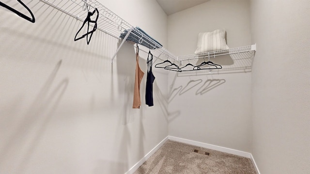 walk in closet with carpet