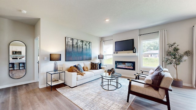 living room featuring a textured ceiling and wood-type flooring