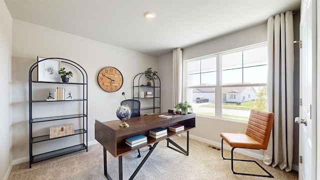 office space featuring light colored carpet