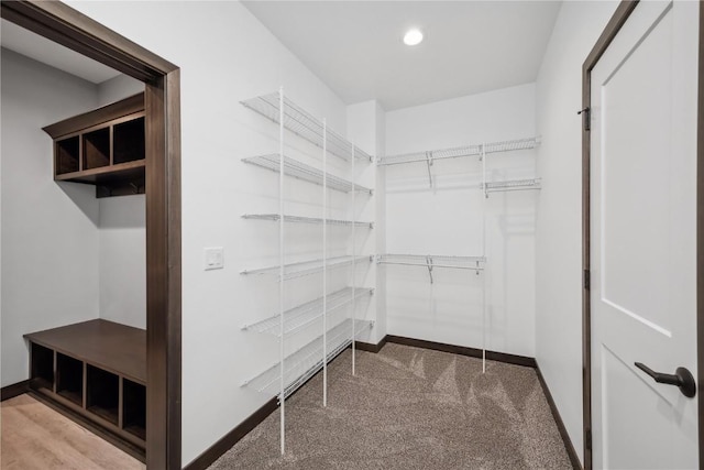 walk in closet with carpet floors