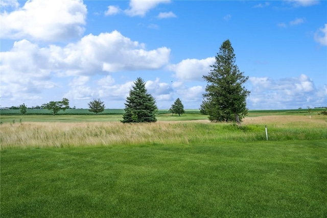 view of yard with a rural view