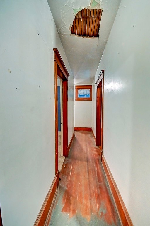 hallway with hardwood / wood-style floors