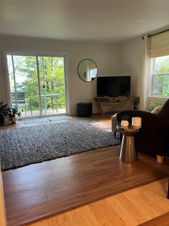 living area with wood finished floors