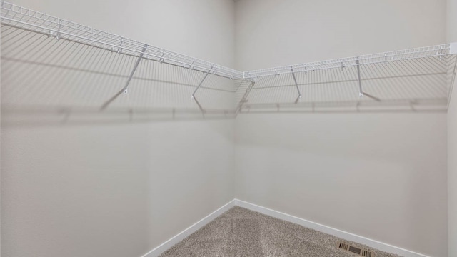 walk in closet featuring carpet flooring