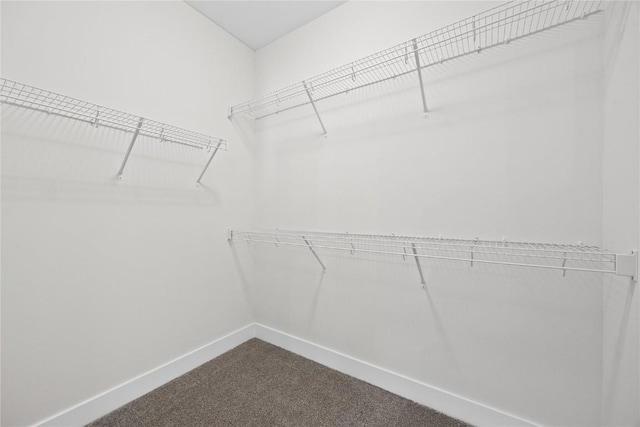 walk in closet with carpet