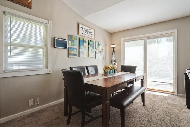 dining room featuring carpet flooring