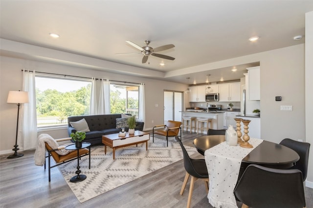 living room featuring a raised ceiling, wood-type flooring, and ceiling fan