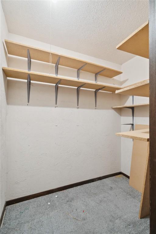 walk in closet with light carpet