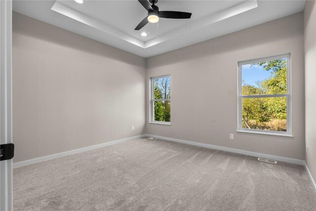 spare room featuring a raised ceiling, carpet floors, and ceiling fan