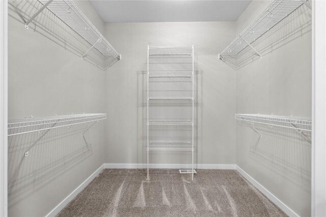 walk in closet featuring carpet floors