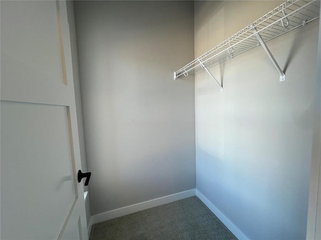 walk in closet with carpet flooring