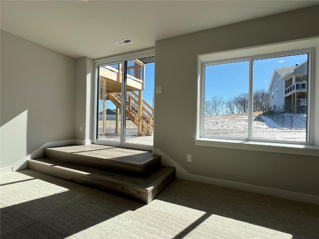 spare room with a healthy amount of sunlight, carpet, visible vents, and baseboards