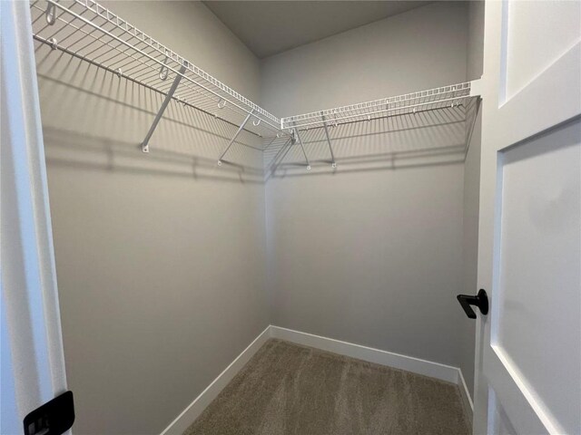 spacious closet with carpet flooring