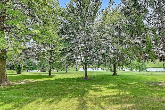 view of yard with a water view