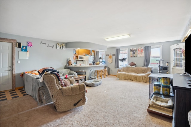 living room with carpet flooring