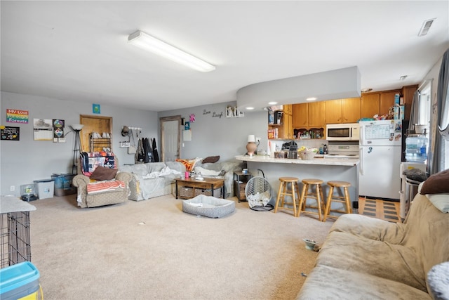 view of carpeted living room