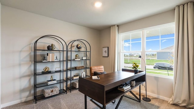 office area with carpet and baseboards