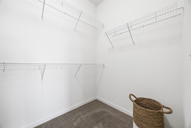 5638 Meadow Grass Cir SE, Cedar Rapids, IA 52403 - spacious closet with dark carpet