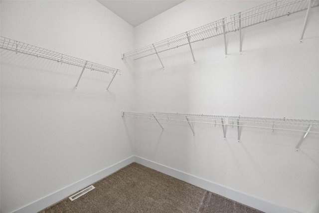 walk in closet featuring carpet