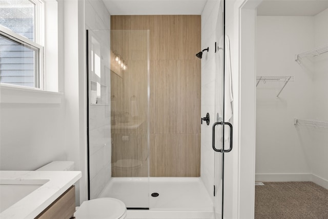 bathroom featuring toilet, vanity, and a shower stall
