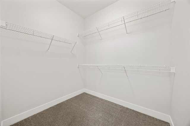 1519 Cardinal Dr, Fairfax, IA 52228 - walk in closet with carpet flooring