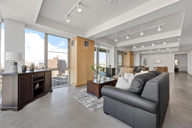 living room featuring rail lighting and a raised ceiling