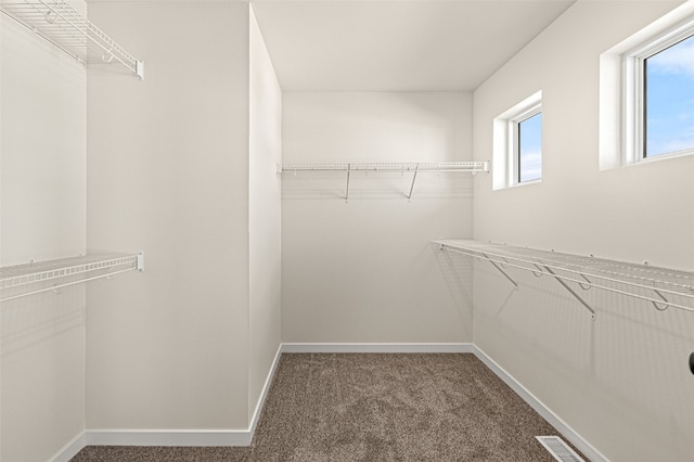 spacious closet with carpet floors