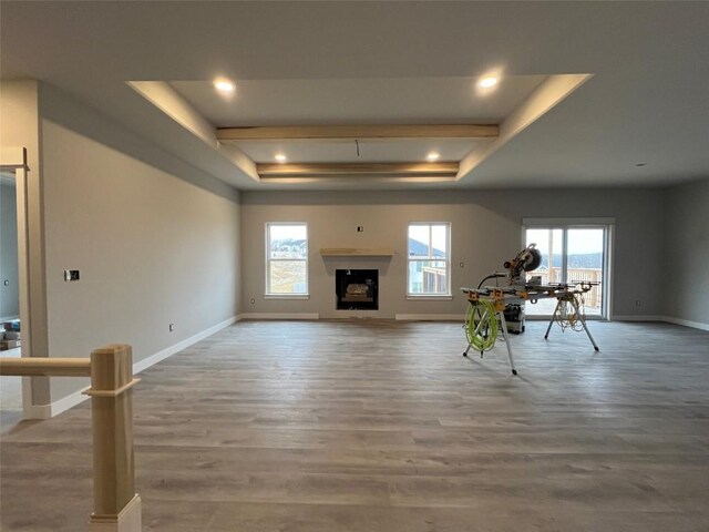 living room featuring a tray ceiling and wood-type flooring