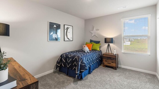 bedroom with carpet floors