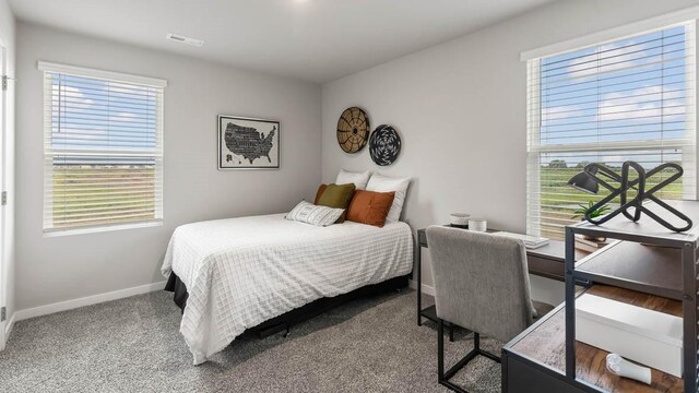 bedroom with multiple windows and carpet flooring