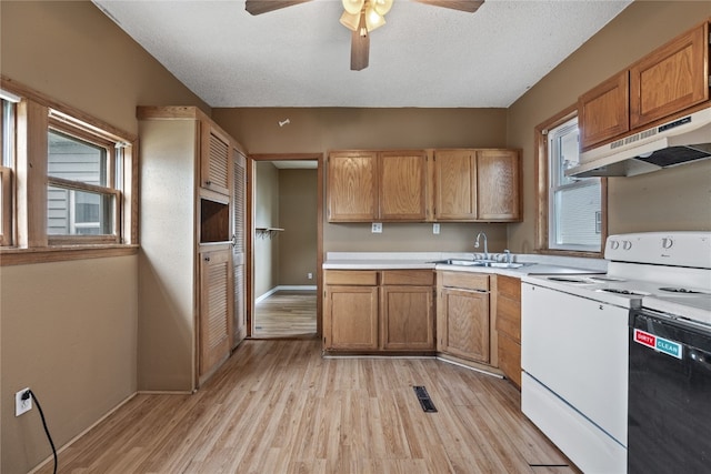 kitchen featuring a wealth of natural light, dishwasher, ceiling fan, and white range