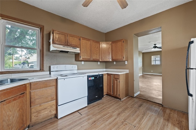 kitchen featuring light hardwood / wood-style floors, a textured ceiling, white appliances, and ceiling fan